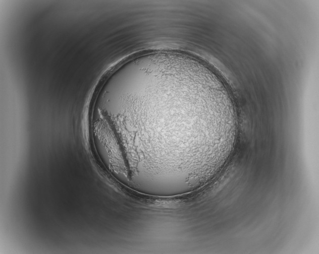 X0000101400840200807211032