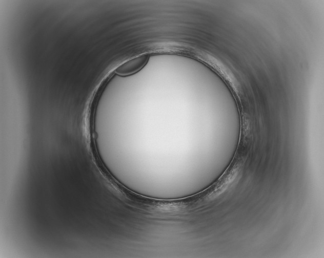 X0000101400843200807211032