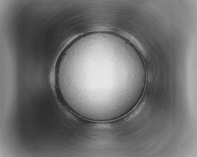 X0000101400844200807211032