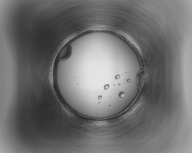 X0000101400845200807211032