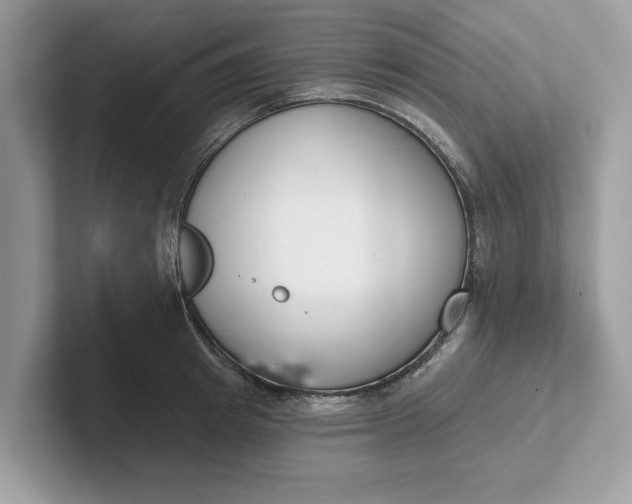 X0000101400849200807211032