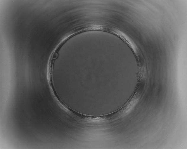 X0000101400851200807211032