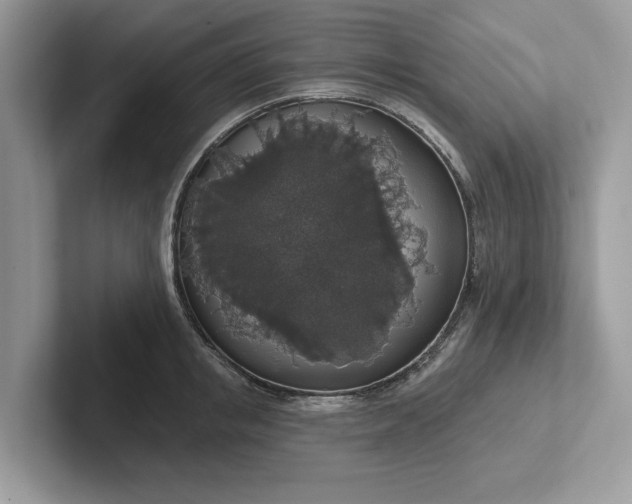 X0000101400853200807211032