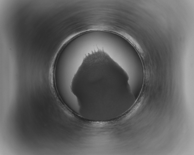 X0000101400854200807211032