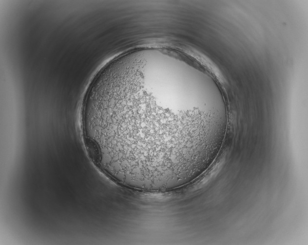 X0000101400855200807211032