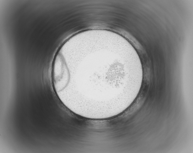 X0000101400856200807211032