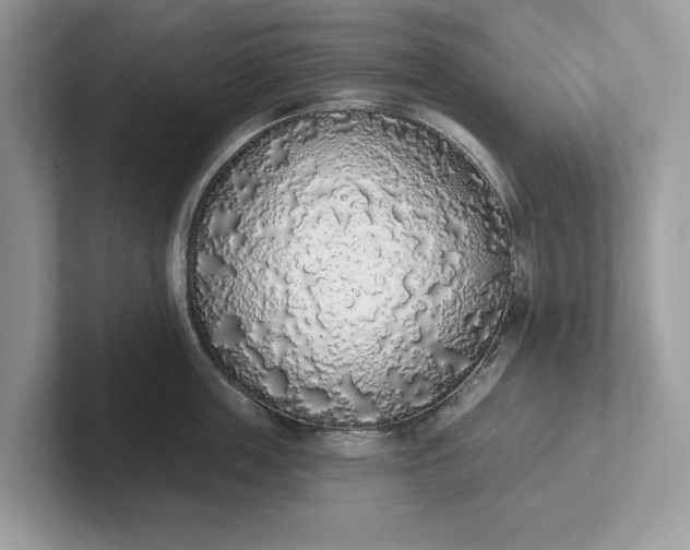 X0000101400859200807211032