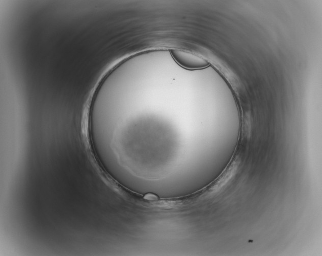 X0000101400862200807211032