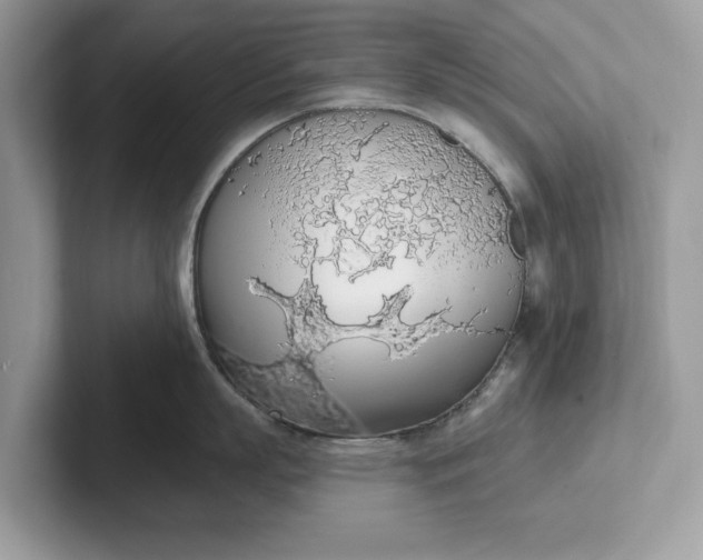 X0000101400863200807211032