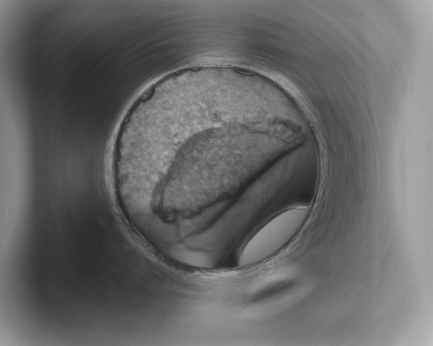 X0000101400864200807211032