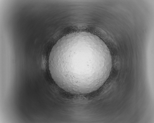 X0000101400866200807211032