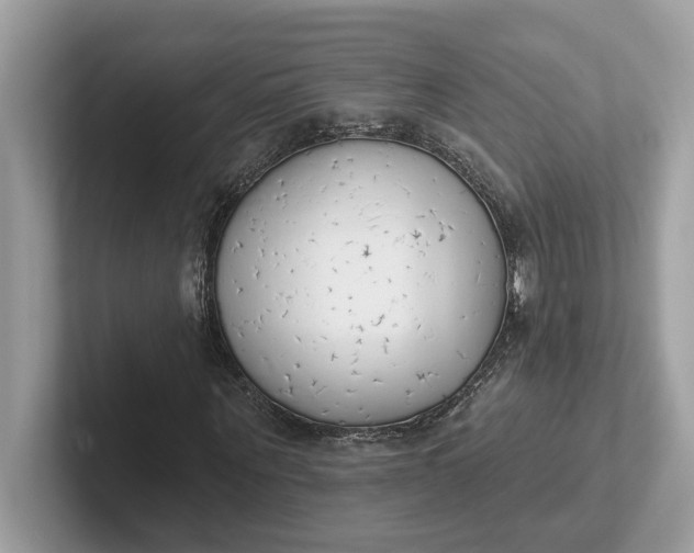 X0000101400867200807211032