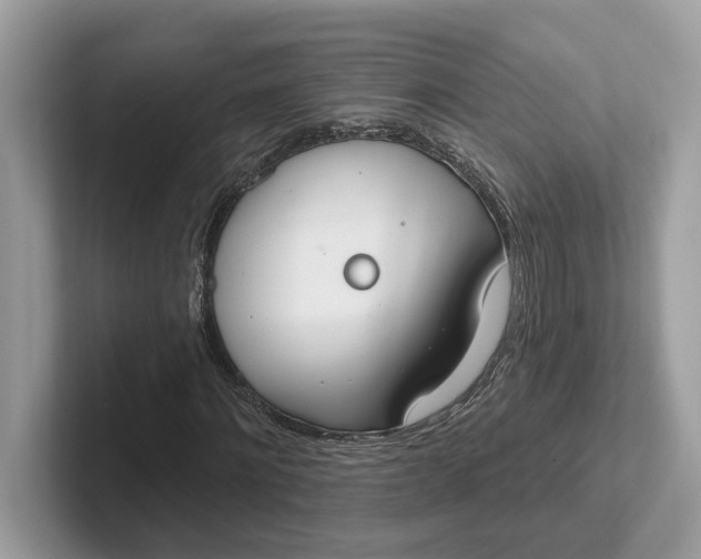 X0000101400868200807211032