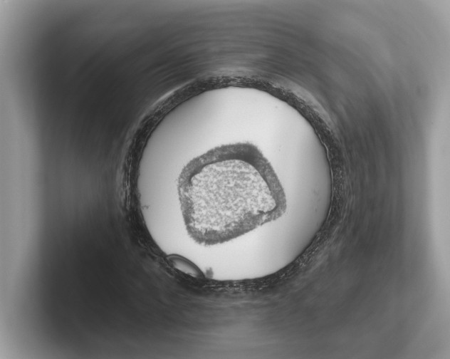 X0000101400872200807211032