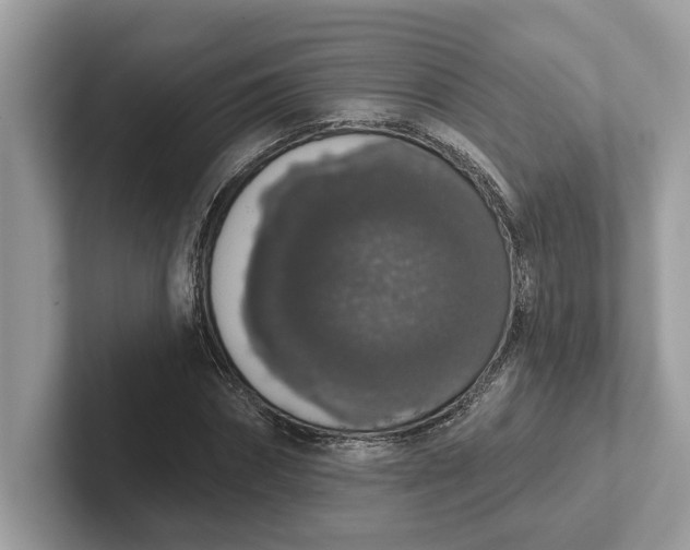 X0000101400874200807211032