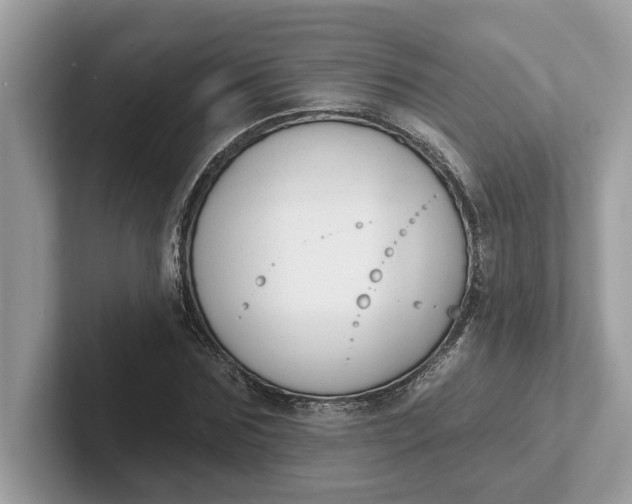 X0000101400875200807211031