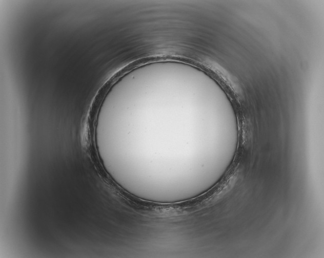 X0000101400876200807211031