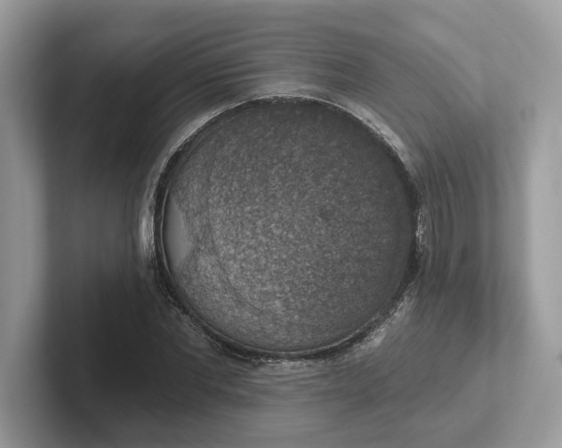 X0000101400877200807211031