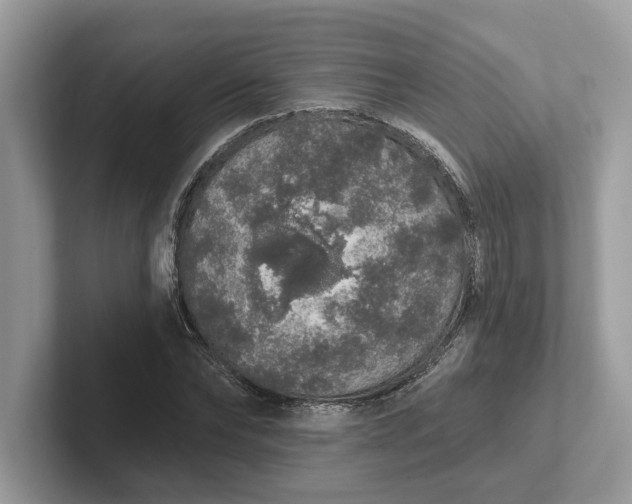 X0000101400878200807211031