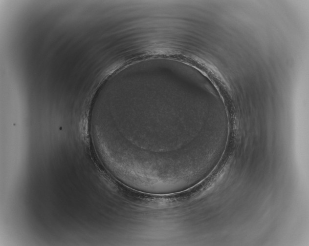 X0000101400881200807211031