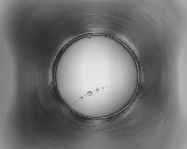 X0000101400883200807211031