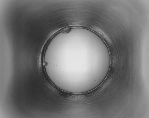 X0000101400884200807211031