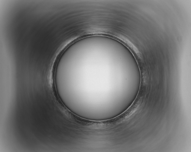 X0000101400885200807211031