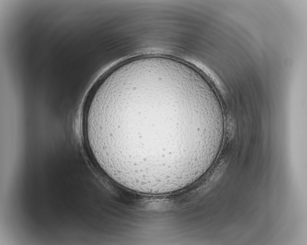 X0000101400886200807211031