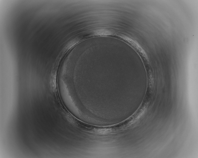 X0000101400889200807211031