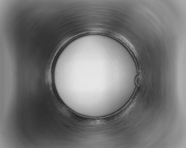 X0000101400891200807211031