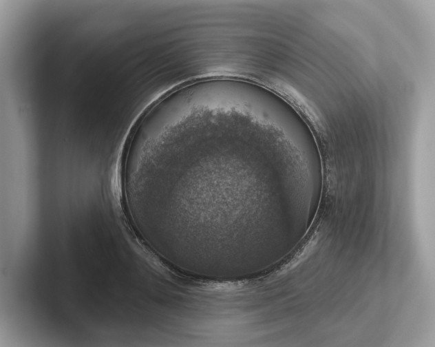 X0000101400892200807211031