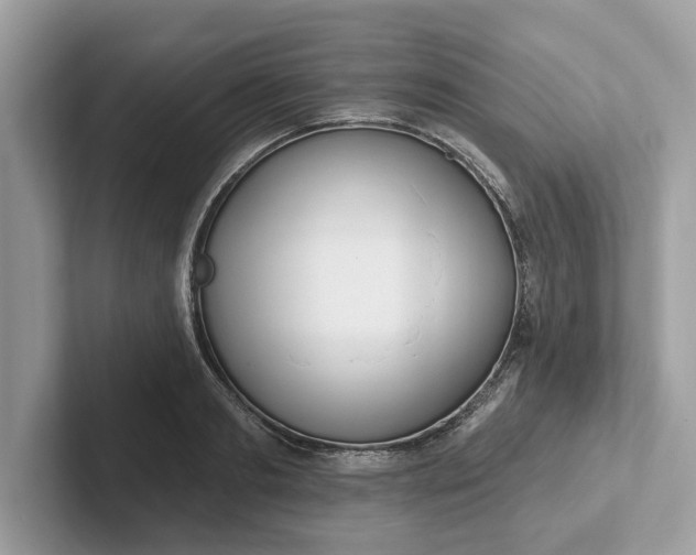 X0000101400893200807211031