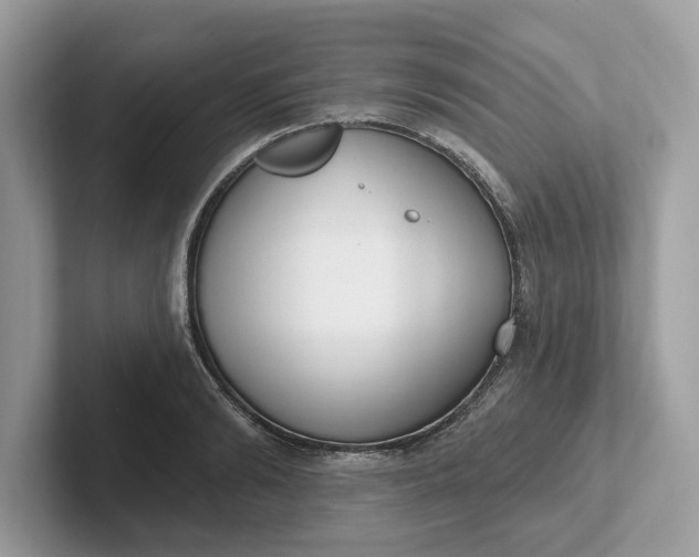 X0000101400894200807211031