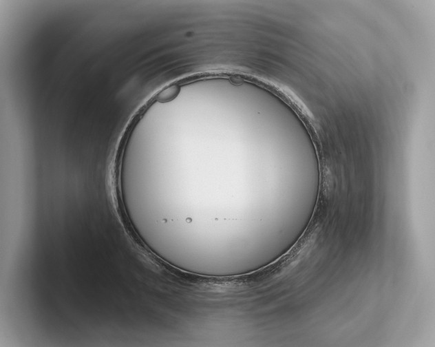 X0000101400895200807211031