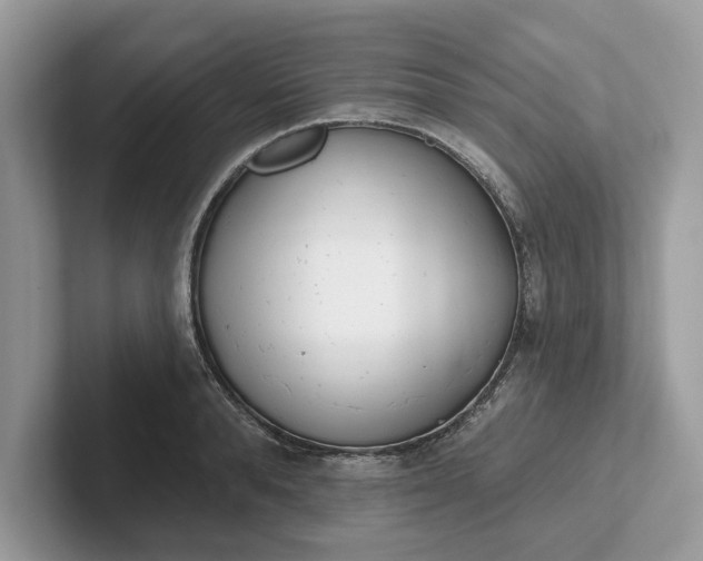 X0000101400896200807211031