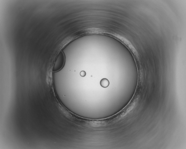 X0000101400897200807211031