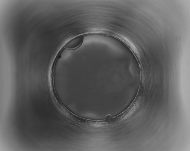 X0000101400899200807211031