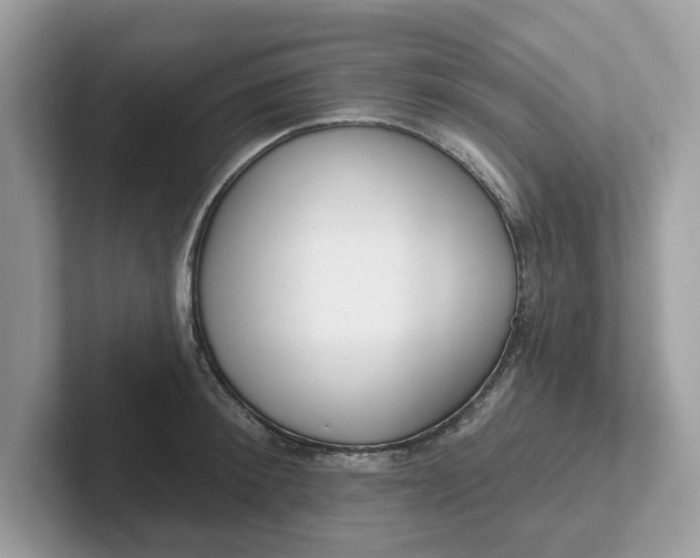 X0000101400900200807211031