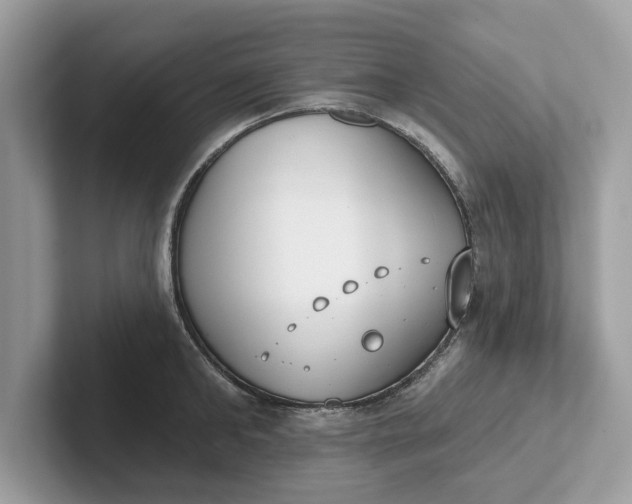 X0000101400902200807211031