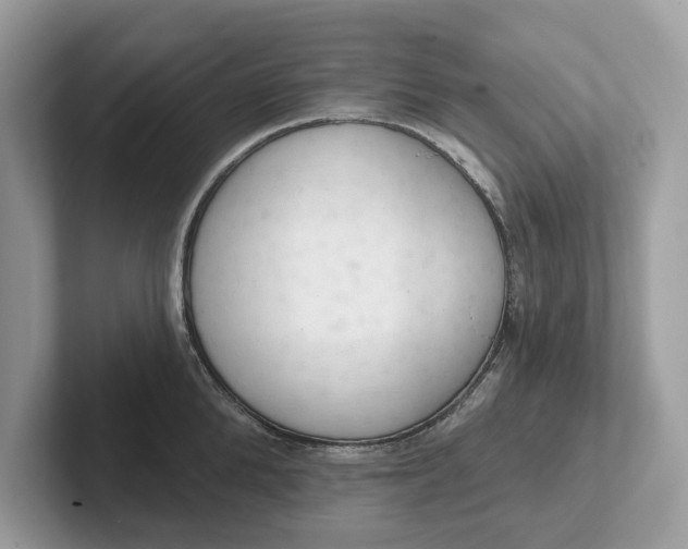 X0000101400904200807211031