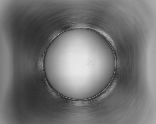 X0000101400905200807211031