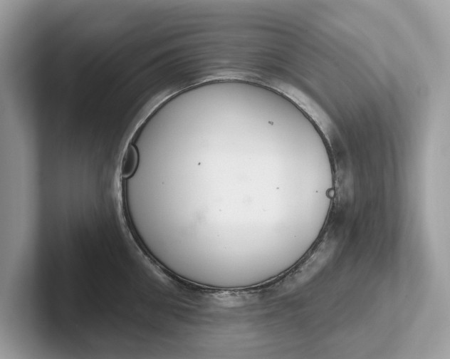 X0000101400906200807211031