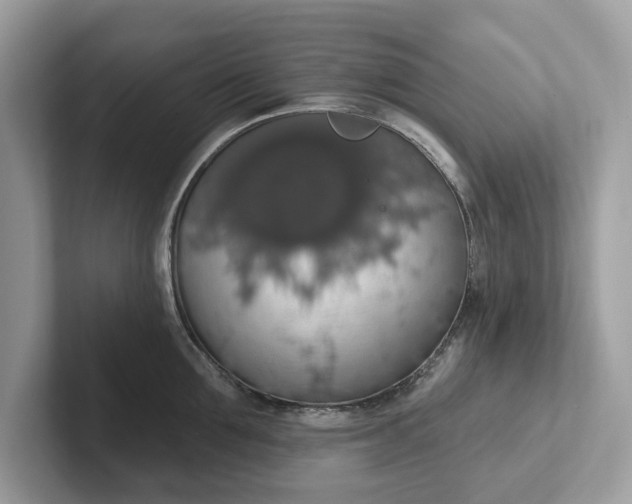 X0000101400907200807211031