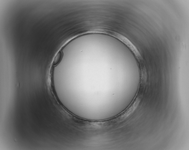 X0000101400908200807211031