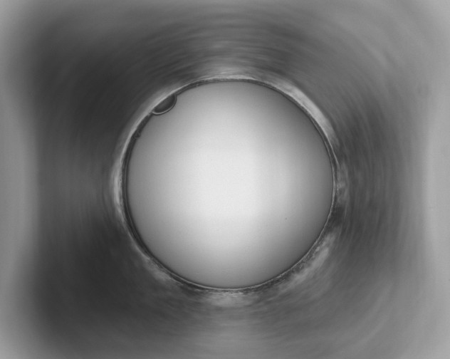 X0000101400909200807211031