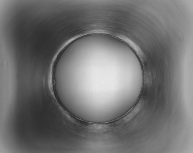 X0000101400910200807211031