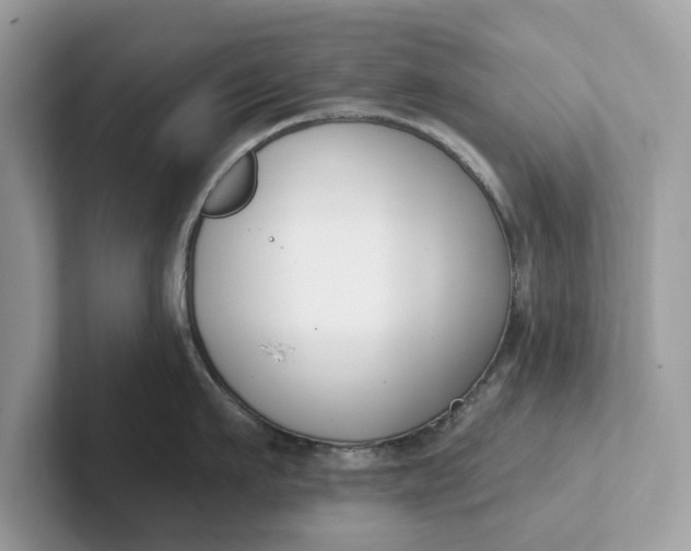 X0000101400911200807211031