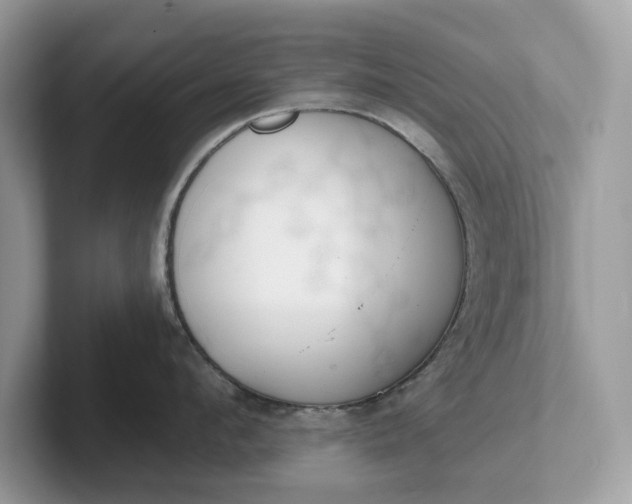 X0000101400912200807211031