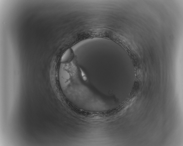 X0000101400913200807211030