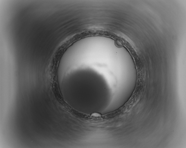 X0000101400919200807211030